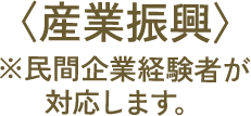 産業振興 ※民間企業経験者